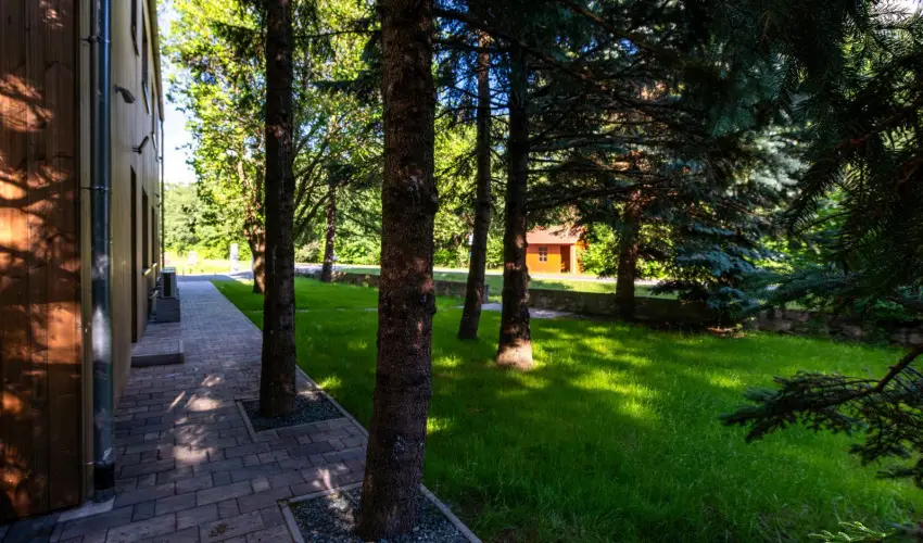 reBORONA Vendghz rsg riszentpter - Oktber 23.