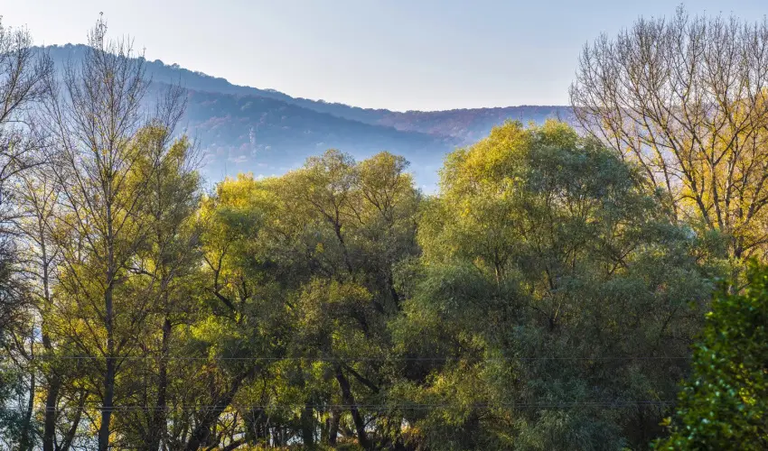 Royal Club Hotel Visegrd - Oktber 23. (min. 2 j)