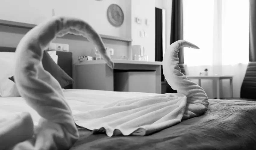 Safari Hotel Szeged - Oktber 23.