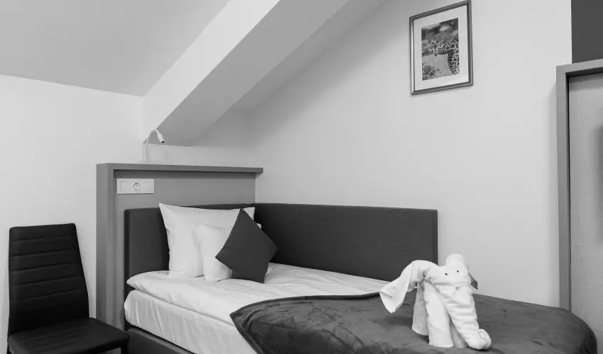 Safari Hotel Szeged - Oktber 23.