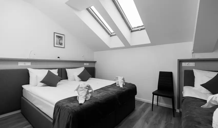 Safari Hotel Szeged - Oktber 23.