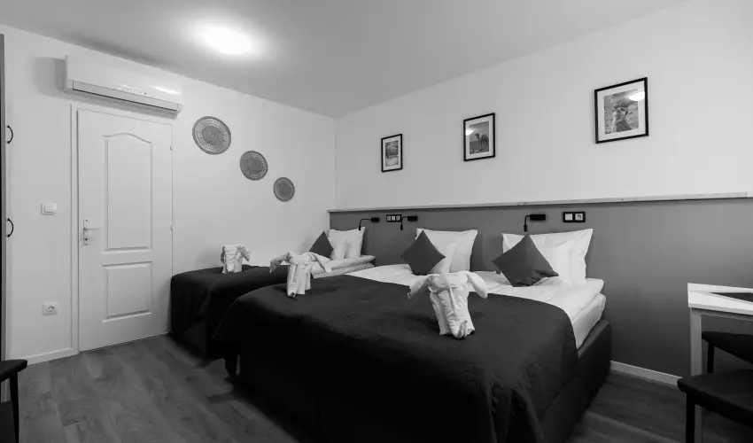 Safari Hotel Szeged - Oktber 23.