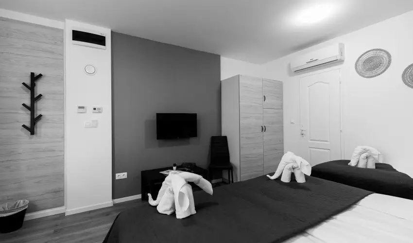 Safari Hotel Szeged - Oktber 23.