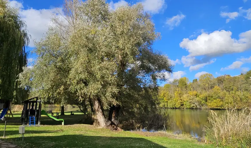 Sri Udvar Dunakiliti - Oktber 23. (min. 2 j)