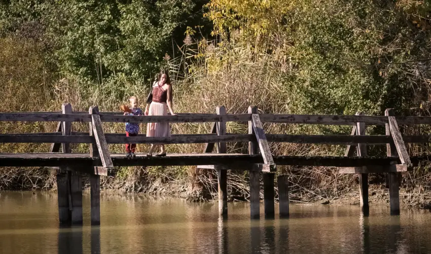 Sasr�ti Vad�szkast�ly Almamell�k - Okt�ber 23.