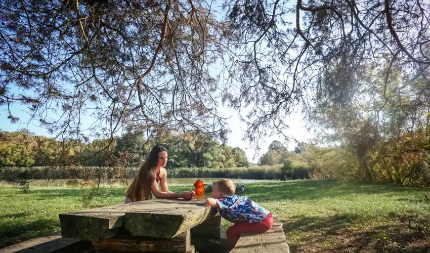 Sasr�ti Vad�szkast�ly Almamell�k - Okt�ber 23.