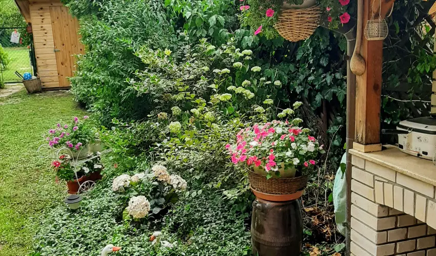 Siesta Vendghz Eger - Oktber 23. (min. 2 j)