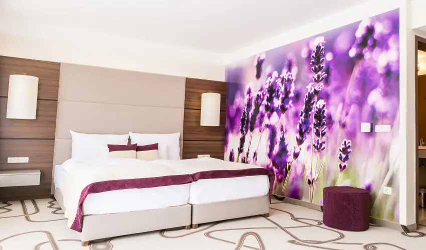 Ambient Hotel & ThermalSPA**** Sikonda - Oktber 23. (min. 2 j)