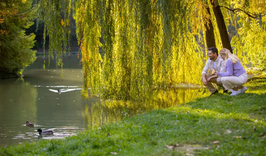 Ambient Hotel & ThermalSPA**** Sikonda - Oktber 23. (min. 2 j)