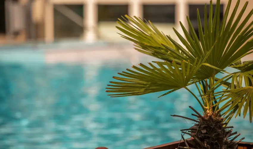 Ambient Hotel & ThermalSPA**** Sikonda - Oktber 23. (min. 2 j)