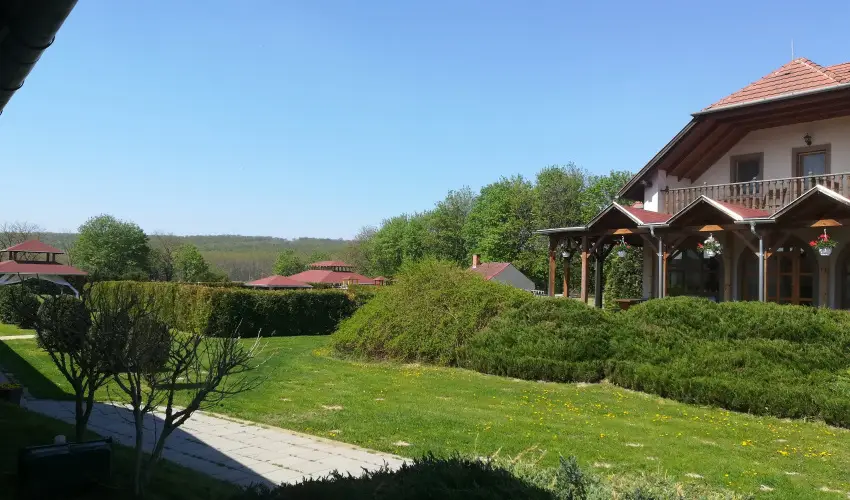 Sokor Fogad Sokorptka - Oktber 23.