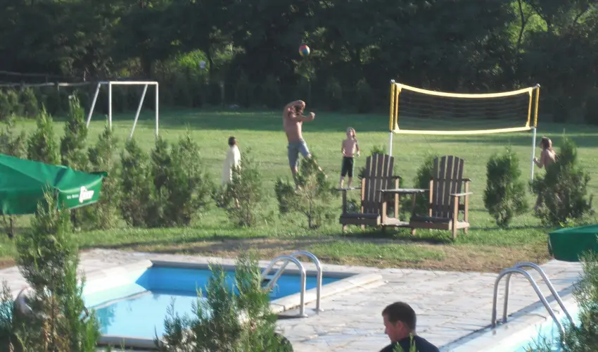 Sokor Fogad Sokorptka - Oktber 23.