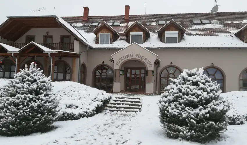 Sokor Fogad Sokorptka - Oktber 23.