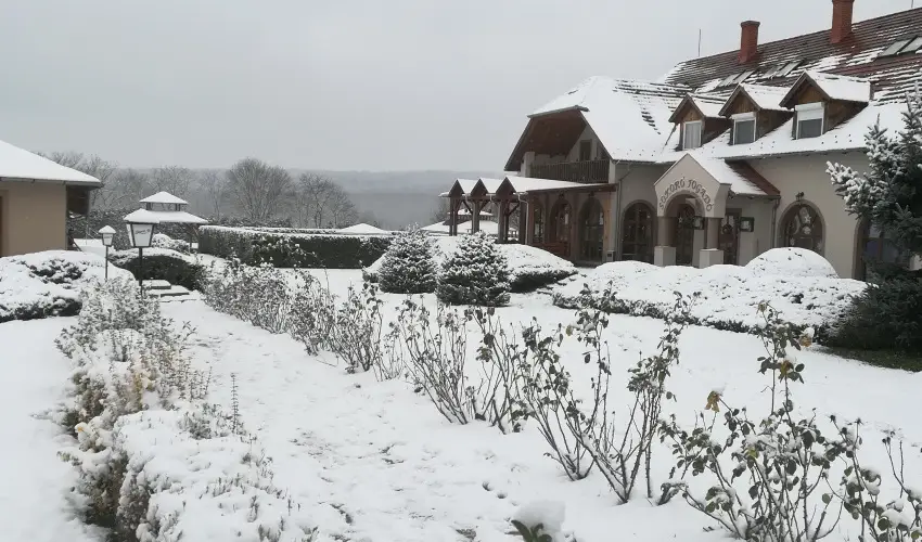 Sokor Fogad Sokorptka - Oktber 23.