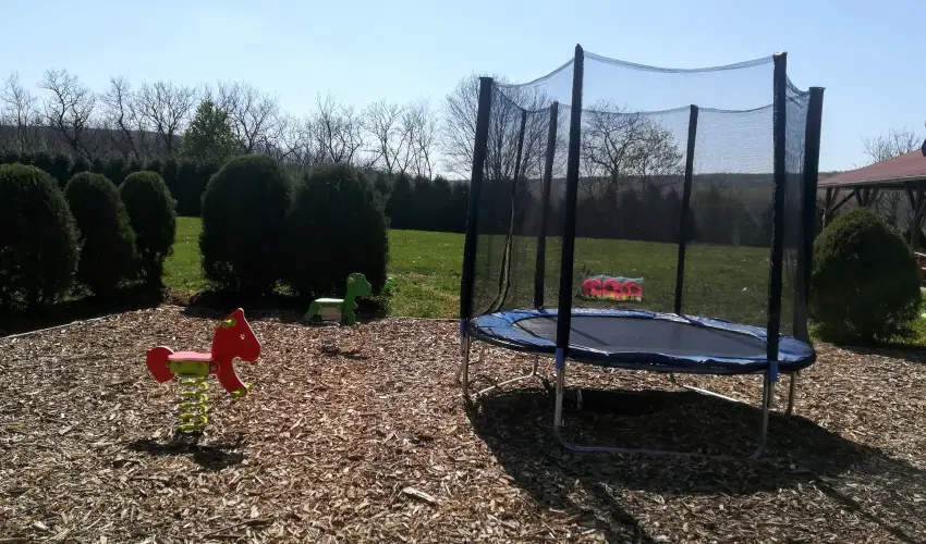 Sokor Fogad Sokorptka - Oktber 23.