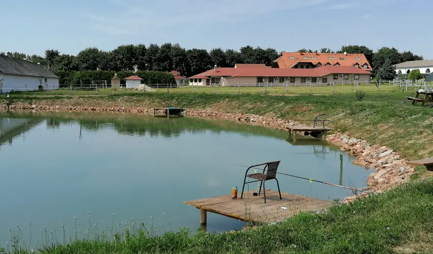 Sokor Fogad Sokorptka - Oktber 23.