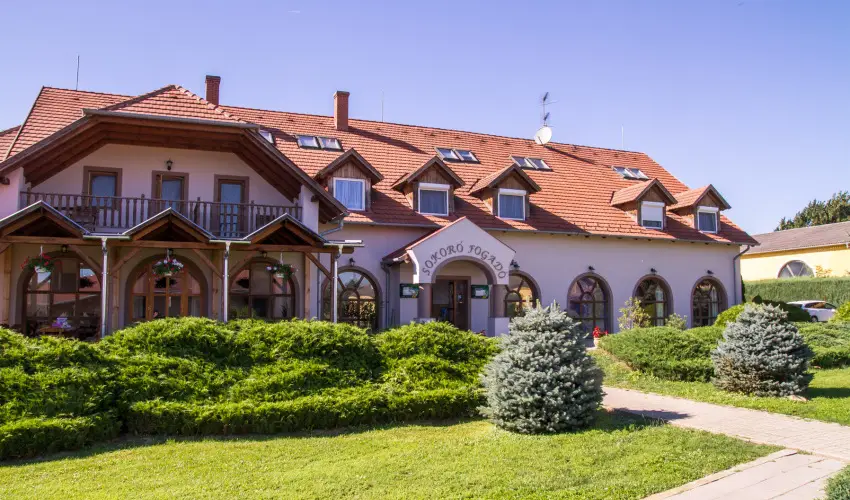 Sokor Fogad Sokorptka - Oktber 23.