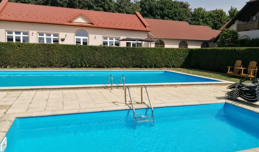 Sokor Fogad Sokorptka - Oktber 23.