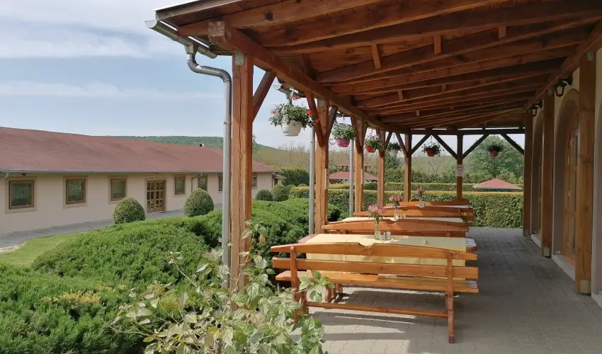 Sokor Fogad Sokorptka - Oktber 23.