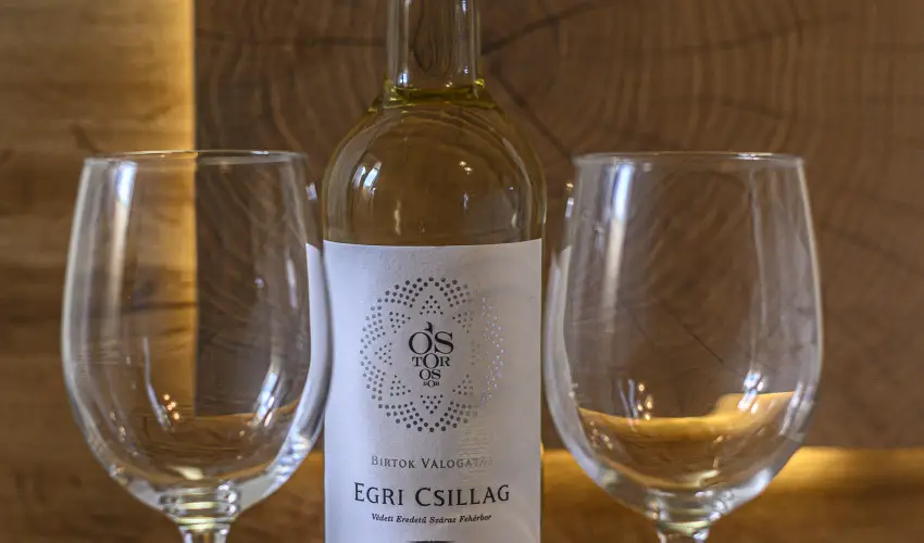 Sweet-Life Wellness Apartman Egerszal�k - Okt�ber 23.