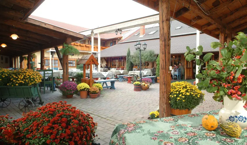 Szrcsa Hotel Szkesfehrvr - Oktber 23. 