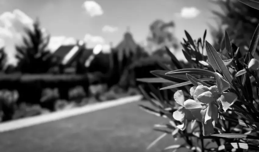 Szent Istv�n Hotel Eger - Okt�ber 23. (min. 2 �j)