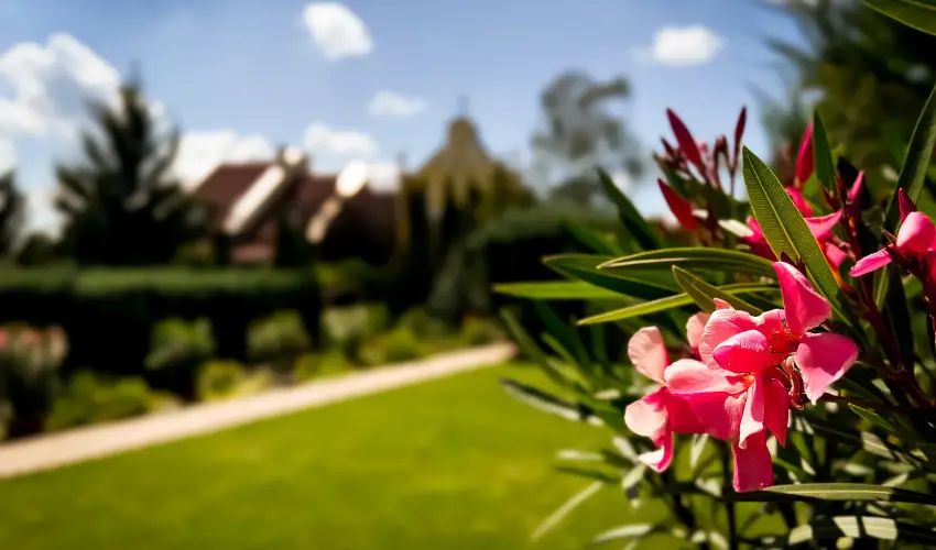 Szent Istvn Hotel Eger - Oktber 23.