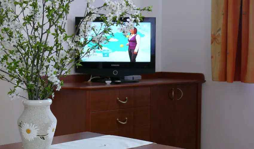 Szerencsemk Panzi Kehidakustny - Oktber 23. (min. 2 j)