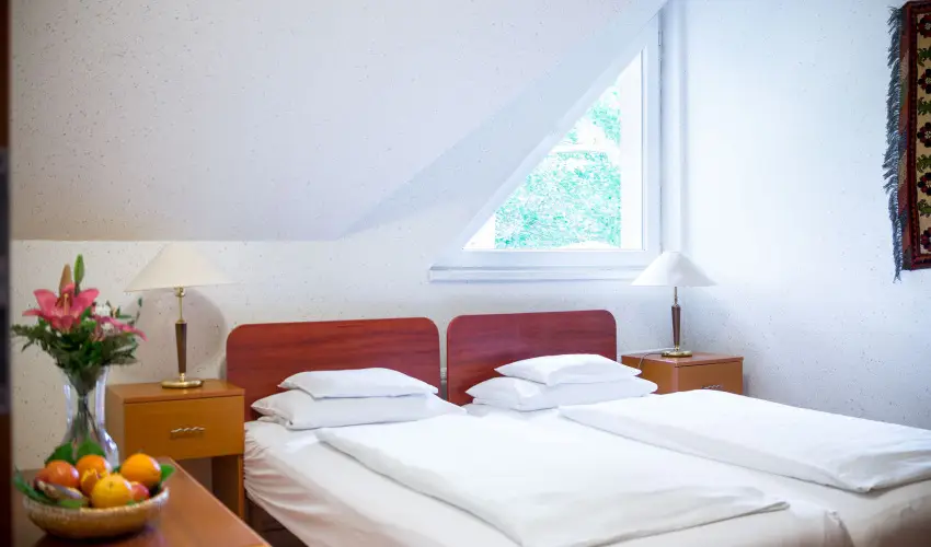 Wellness Hotel Szindbd  Balatonszemes - Oktber 23.