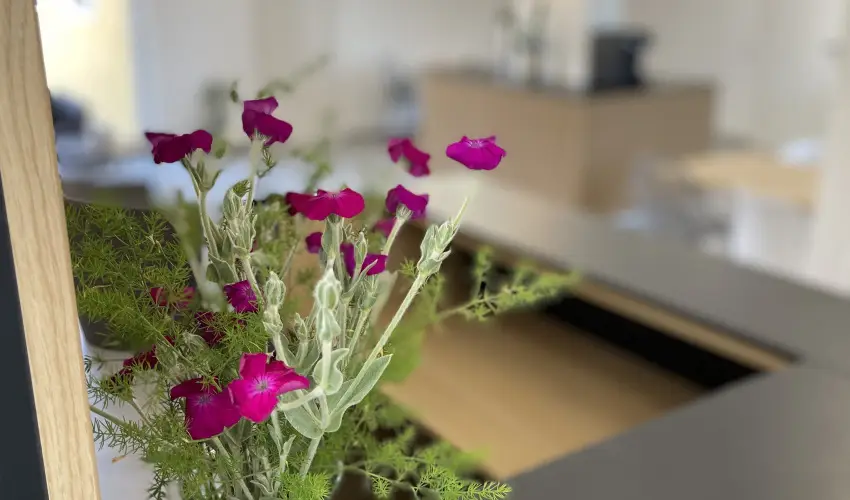 Svirg Terml Panzi Hajdnns - Oktber 23. 