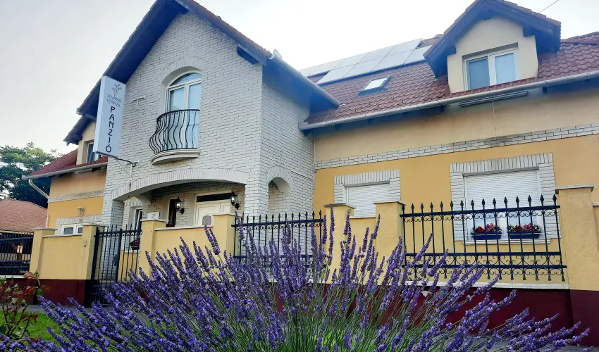 Svirg Terml Panzi Hajdnns - Oktber 23. 