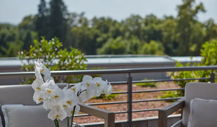 Thermal Hotel Balance  Lenti - Okt�ber 23.  (min. 3 �j)