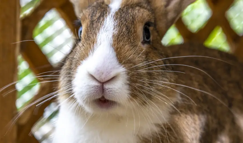 Term�l Apartmanok & Kemping Hark�ny Hark�ny - Okt�ber 23.