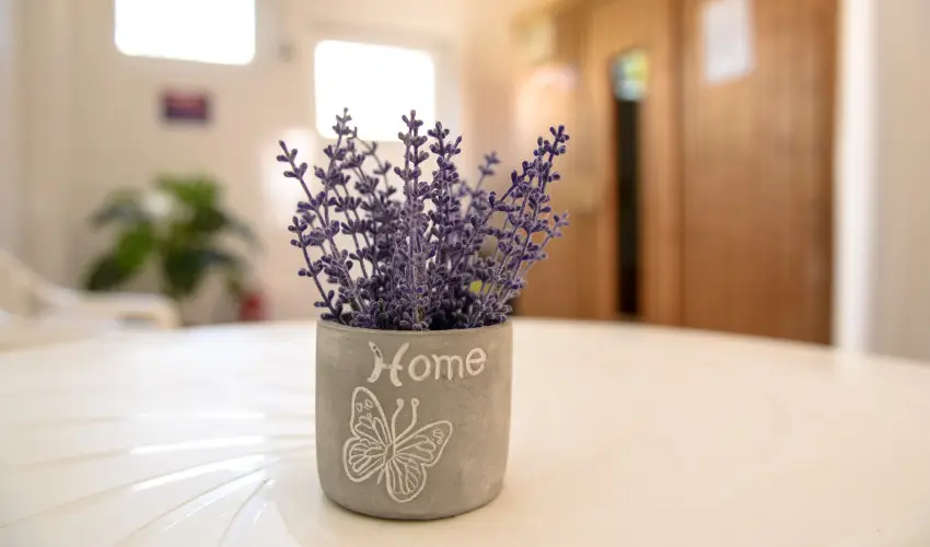 Thermal Panzi Igal Igal - Oktber 23. (min. 2 j)