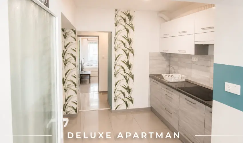 Tisza Gy�ngye Apartmanok Szeged - Okt�ber 23.