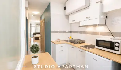 Tisza Gy�ngye Apartmanok Szeged