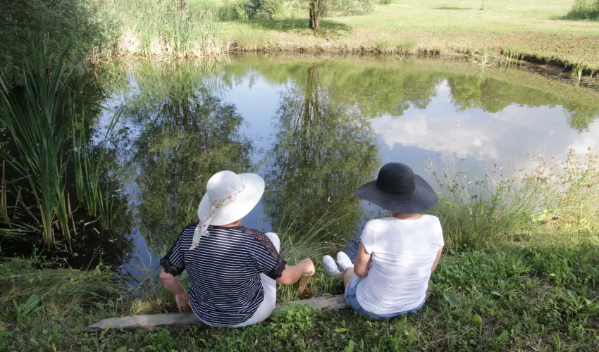 T Wellness Hotel Bnk - Oktber 23.  (min. 2 j)