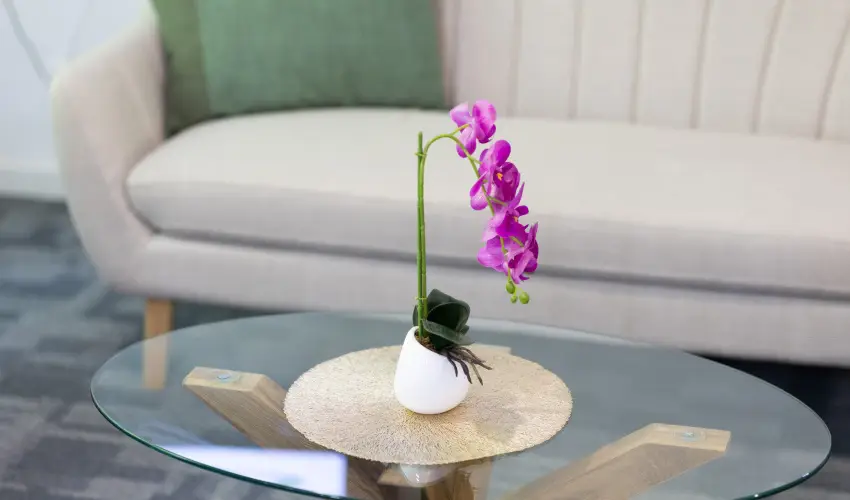 TOK Zamrdi Zamrdi - Oktber 23. (min. 2 j)