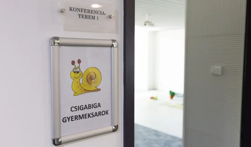 TOK Zamrdi Zamrdi - Oktber 23. (min. 2 j)