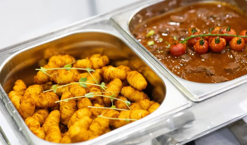 TOK Zamrdi Zamrdi - Oktber 23. (min. 2 j)