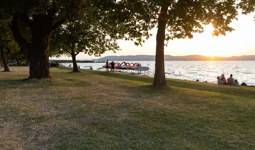 TOK Zamrdi Zamrdi - Oktber 23. (min. 2 j)