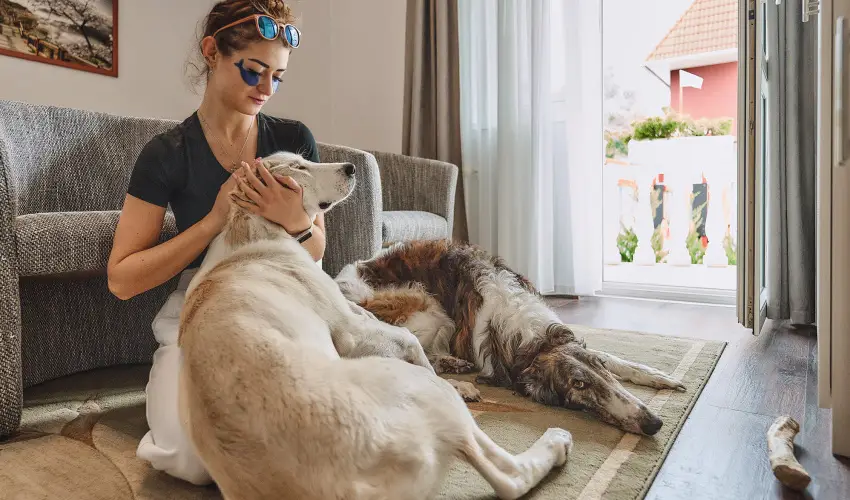 Tokajer Wellness Panzi� Keszthely - Okt�ber 23. (min. 2 �j)