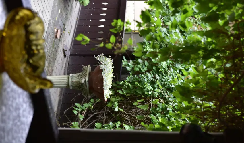 Torncos Vendghz Krshegy - Oktber 23. (min. 2 j)