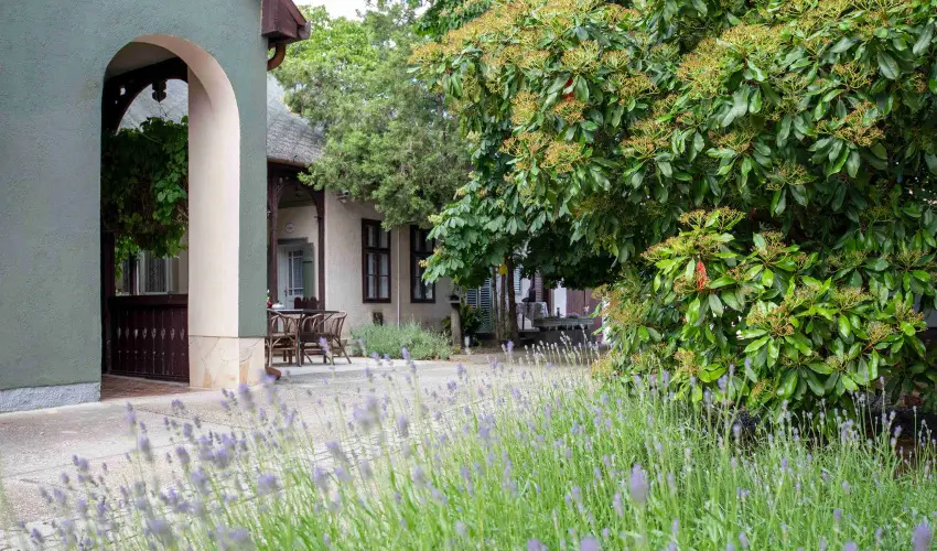 Torncos Vendghz Krshegy - Oktber 23. (min. 2 j)