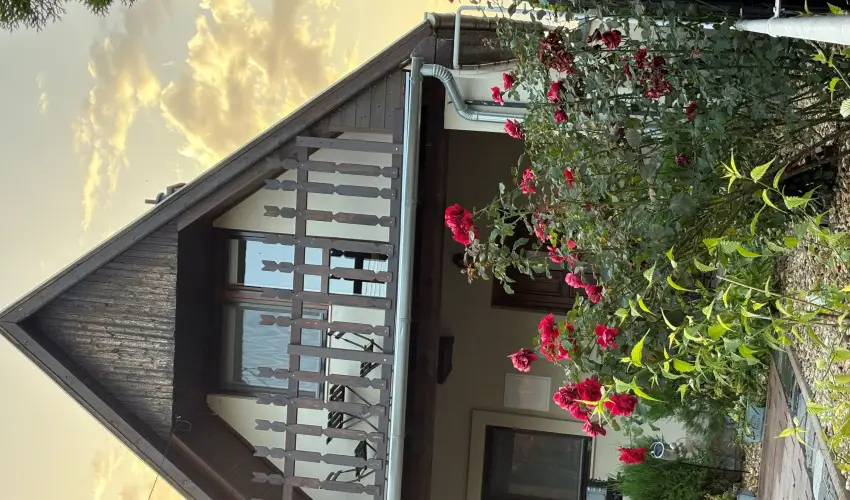 T�csi lak Szigetszentm�rton - Okt�ber 23. (min. 2 �j)