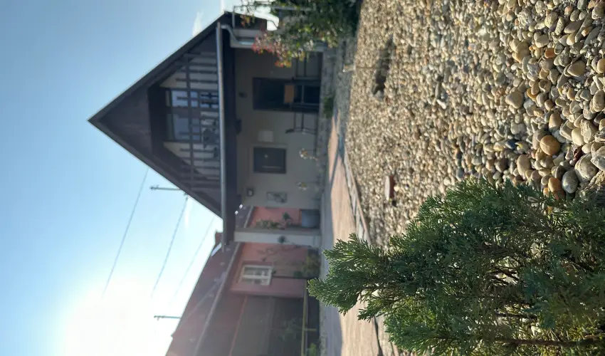 T�csi lak Szigetszentm�rton - Okt�ber 23. (min. 2 �j)