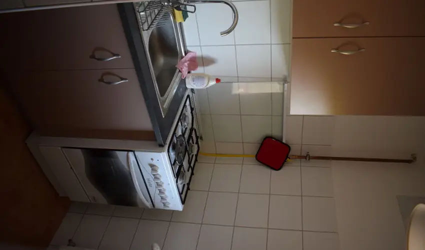 T�csi lak Szigetszentm�rton - Okt�ber 23. (min. 2 �j)