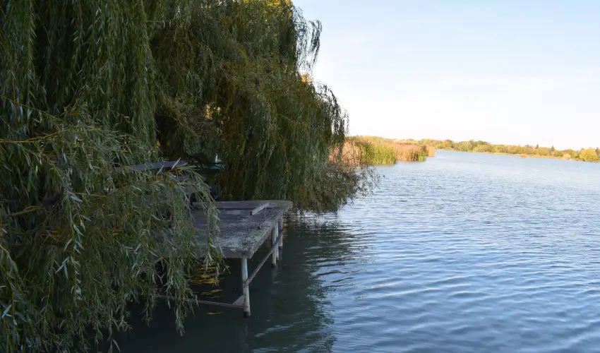 T�csi lak Szigetszentm�rton - Okt�ber 23. (min. 2 �j)