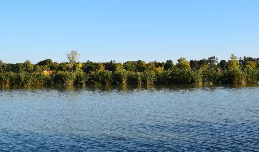 T�csi lak Szigetszentm�rton - Okt�ber 23. (min. 2 �j)