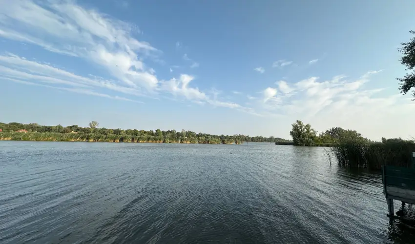 T�csi lak Szigetszentm�rton - Okt�ber 23. (min. 2 �j)